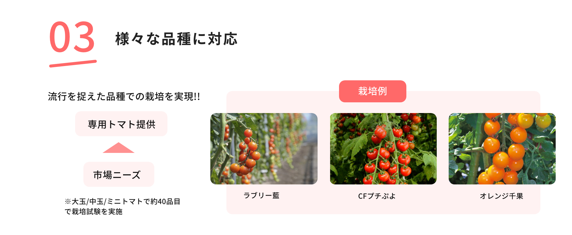03 様々な品種に対応